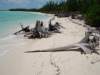 GILLUM BAY 3